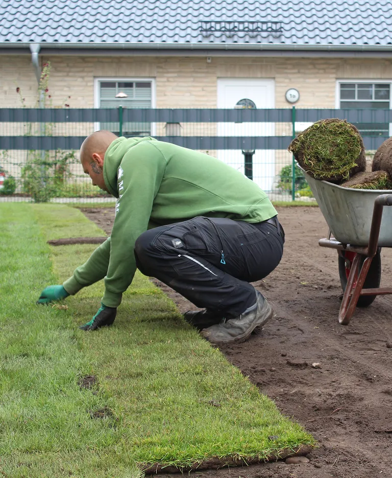 Gartenarbeit Rasen verlegen