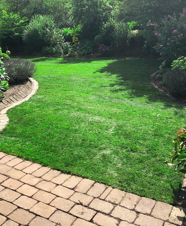 Grüner Garten mit Rasenweg