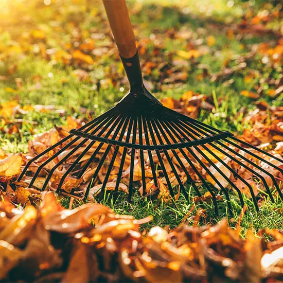 SO ÜBERSTEHT IHR GARTEN