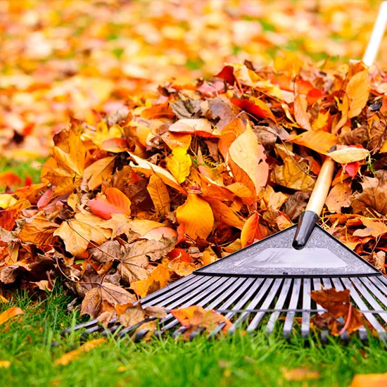 DER WINTER KANN KOMMEN